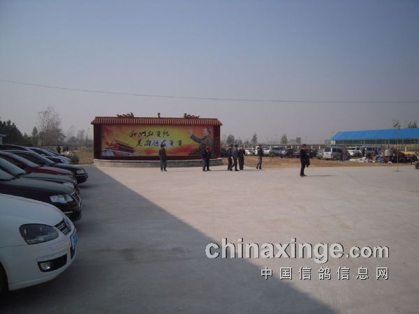 河南紅鼎公棚最新公告，自然美景探索之旅邀請啟動