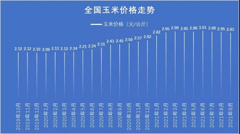 科技助力洞悉玉米未來市場趨勢，今年玉米價格行情分析預(yù)測