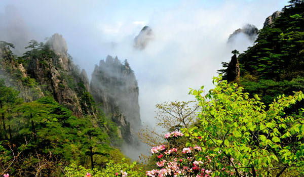 黃山門票最新動態(tài)，攀登知識高峰的自信之旅，成就感的奇妙旅程