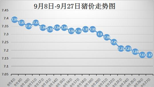 甘肅豬價最新動態(tài)，興旺豬事，溫暖人心