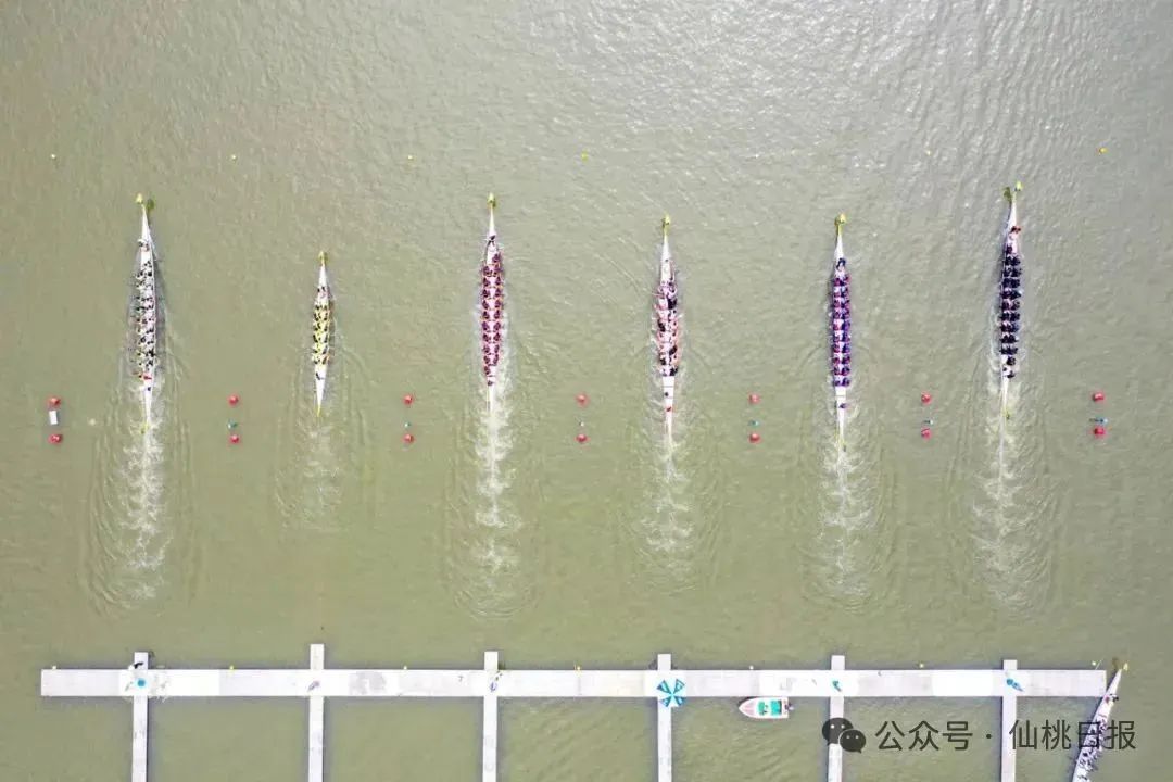 最新無(wú)為三汊河龍舟賽，學(xué)習(xí)變遷之路，自信與榮耀的匯聚點(diǎn)