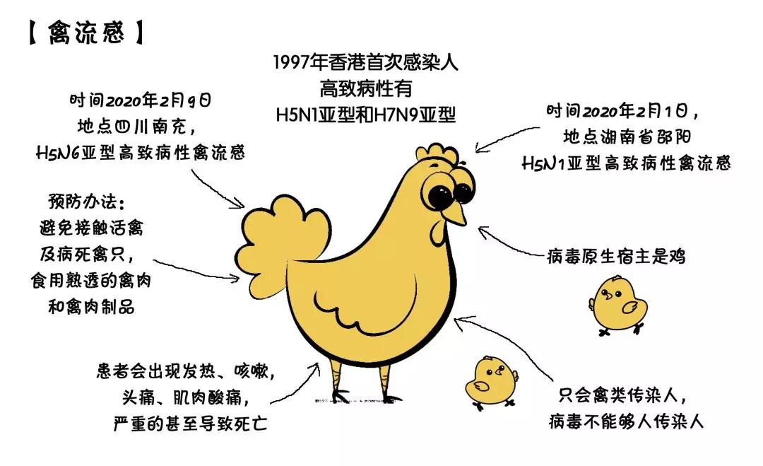 豬禽流感最新消息，2025年動態(tài)報告